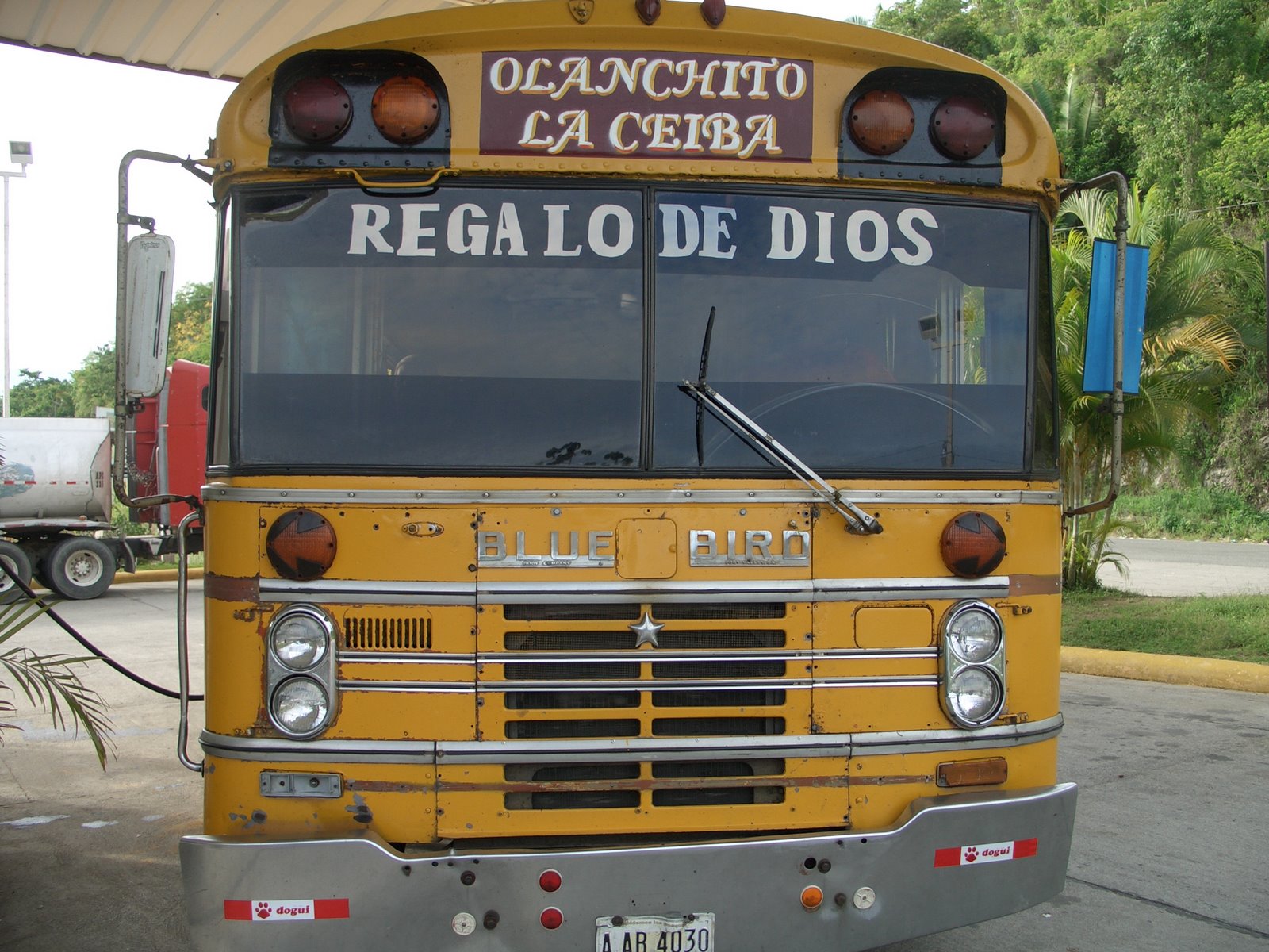 [CIMG7660+-+school+bus.JPG]