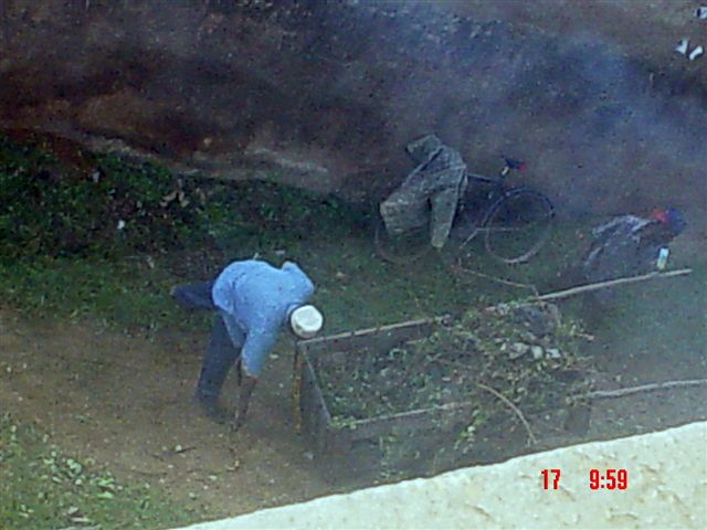 [A+Municipal+worker+burning+the+garbage+and+grass+behind+our+block+of+flats-785699.jpg]