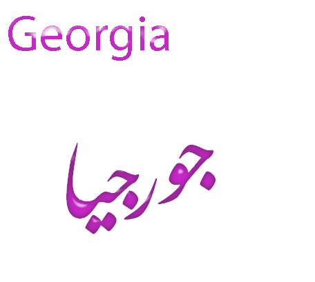 [georgia.gif]