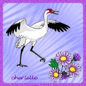 [c-albatros-cherielle.jpg]