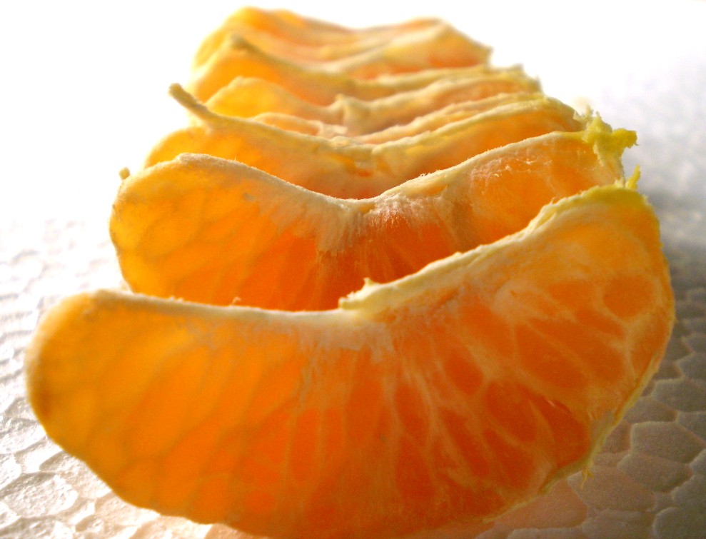 [orangesegment.JPG]