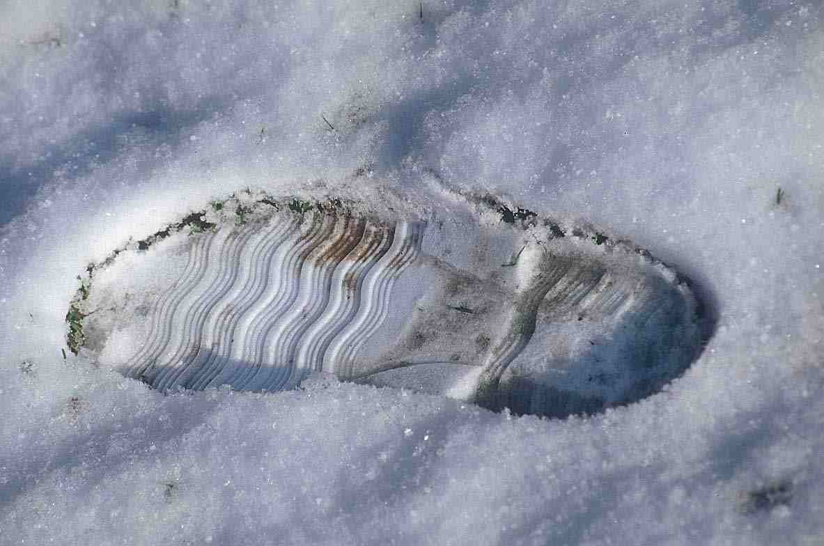 [foot_snow.jpg]