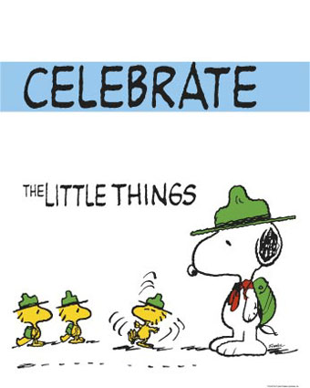 [PEA0321~Peanuts-Celebrate-the-Little-Things-Posters.jpg]