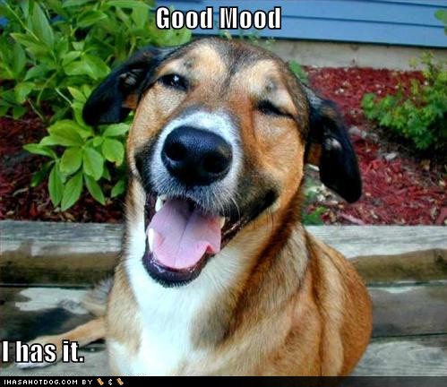 [funny-dog-pictures-dog-is-in-a-good-mood.jpg]
