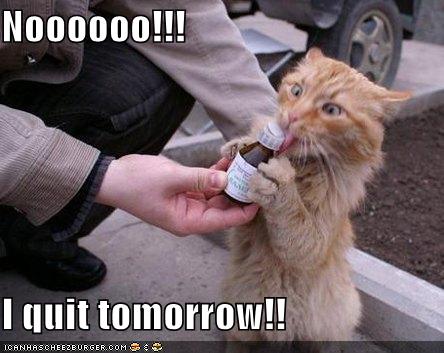 [funny-pictures-addled-kitteh-quits-tomorrow.jpg]