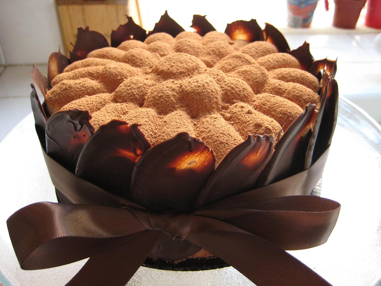 [Chocolate+Tiramisu+Cake1.JPG]