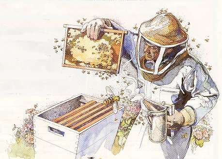 [Catering-beekeeper.jpg]