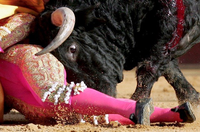 [Touradas+Spain+-+Bullfight.jpg]
