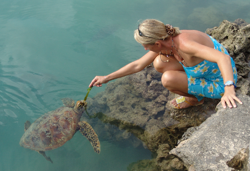 [clare+and+turtle.JPG]