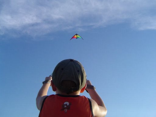 [kite+flying.jpg]