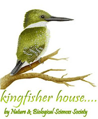 Kingfisher House