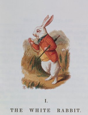 [Bunny+5.jpg]