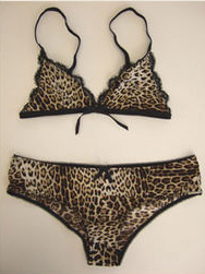 [leopard+lingerie.jpg]