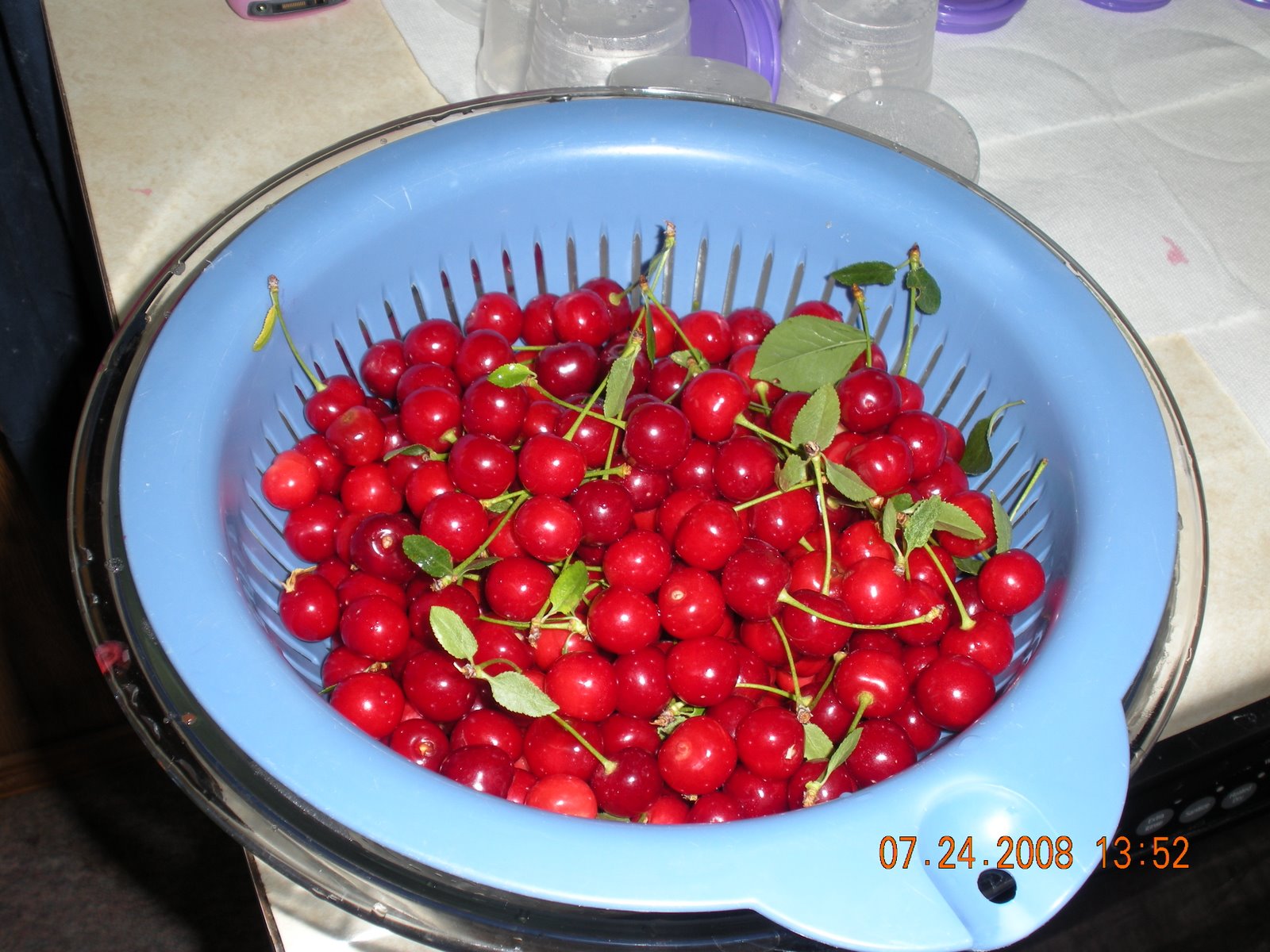 [Cherries.JPG]