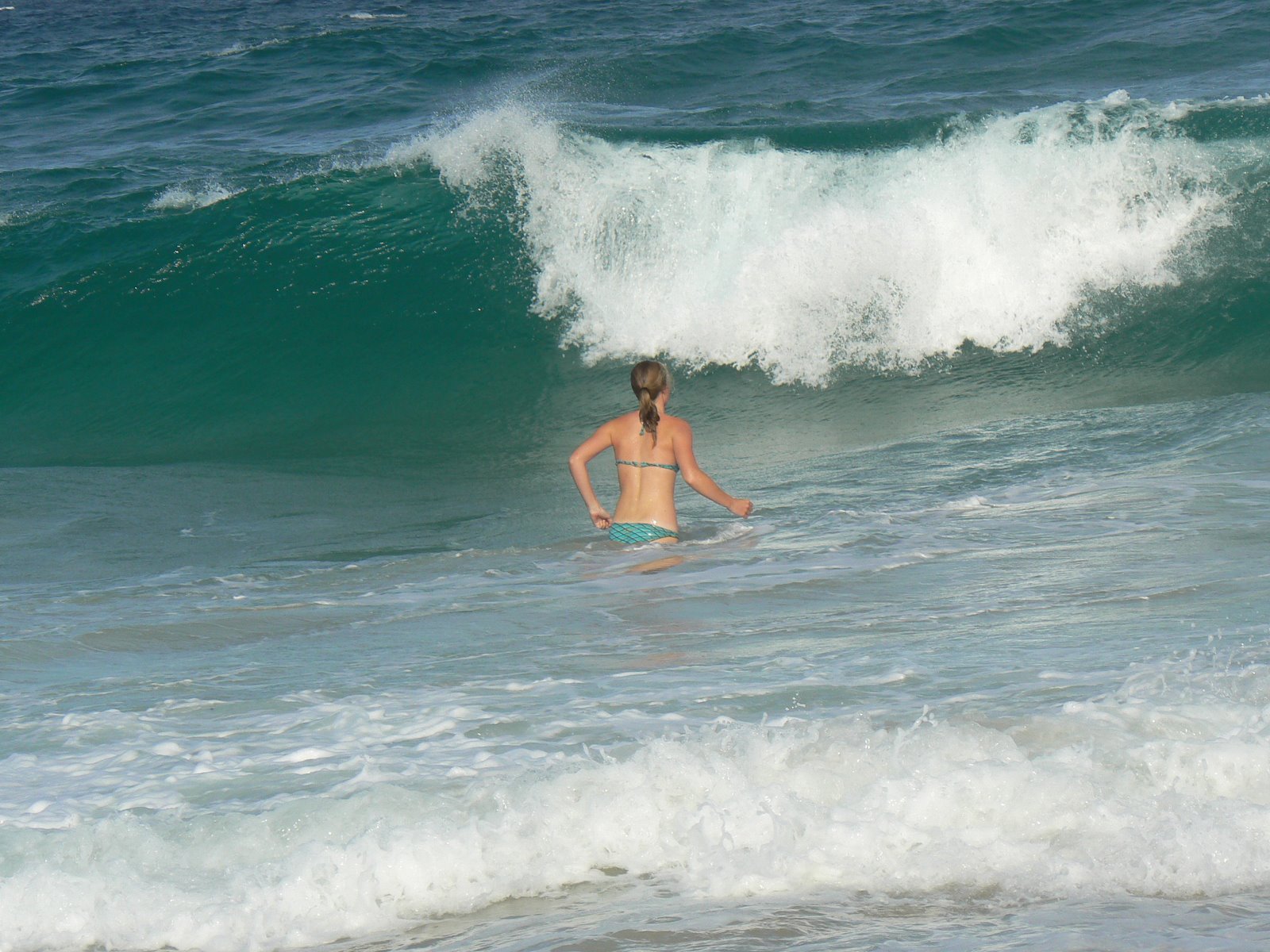[P1030822+-+Gold+Coast+Surfers+Paradise.jpg]