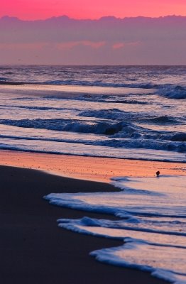 [NCT_Ocracoke_Beach_sunset.jpg]