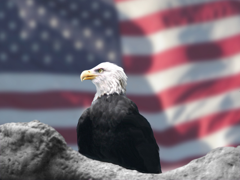 [eagle_and_american_flag_by_bubbels_1.jpg]