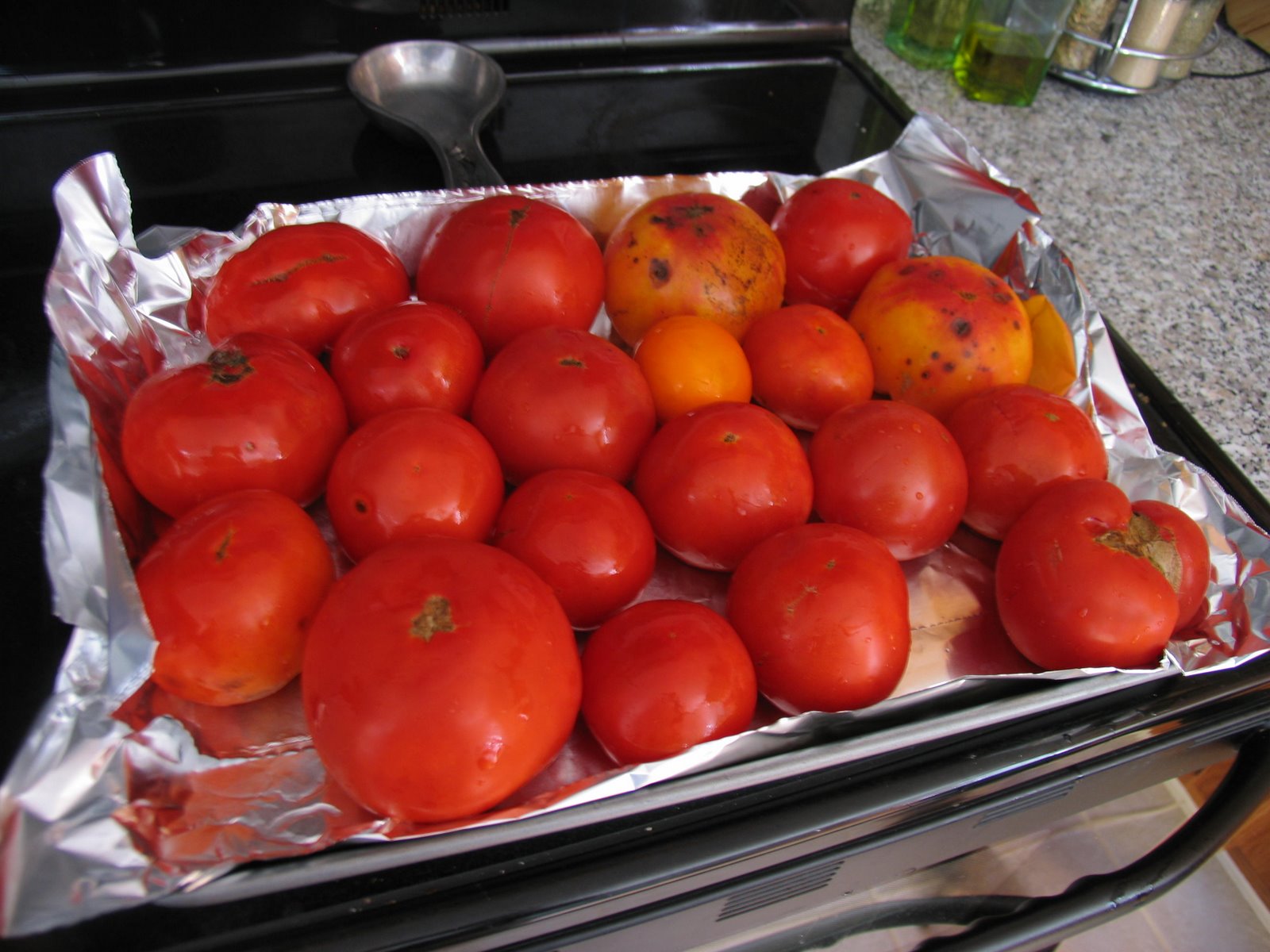 [tomatoes+036.jpg]