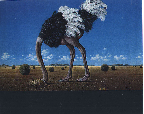[Ostrich.jpg]