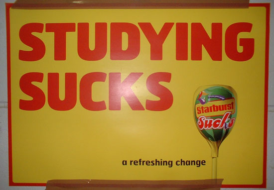 [studying+sucks.jpg]