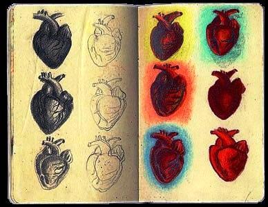 [sketch-heart.jpg]