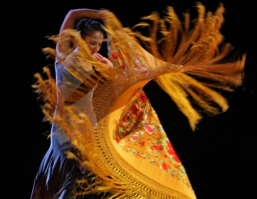 [flamenco-chale-jaune.jpg]