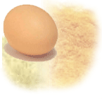 [huevo.gif]