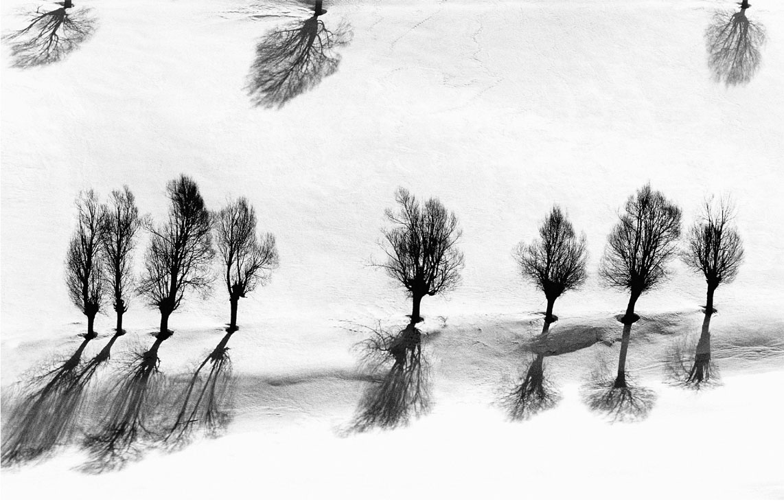 [Abbas+Kiarostami+-+Arbres+neige.jpg]