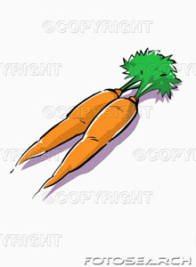 [dois-inteiro-cenouras-verdes-~-u21104407.jpg]