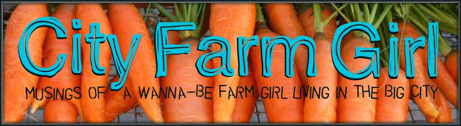 [city+farm+girl+banner.jpg]