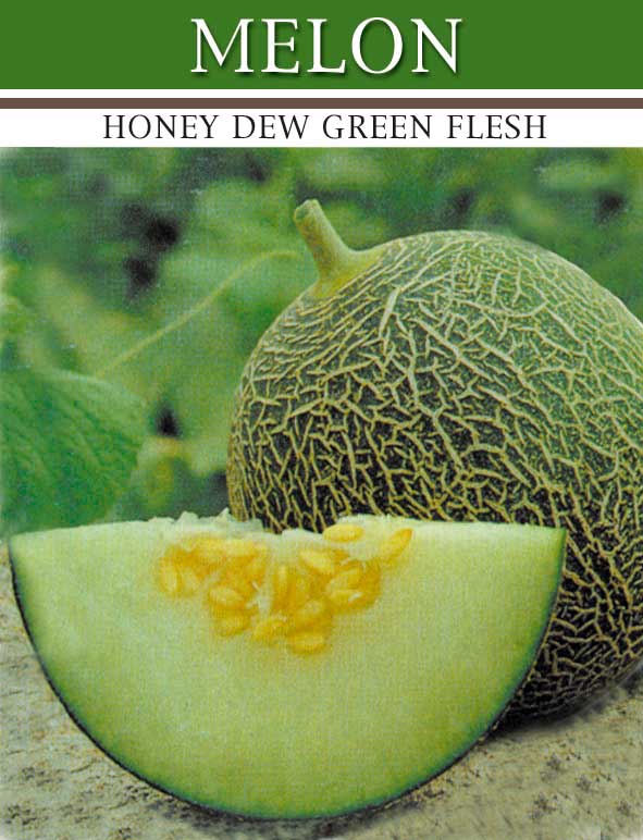 [melon-green-flesh.jpg]