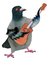 [pigeon.bmp]