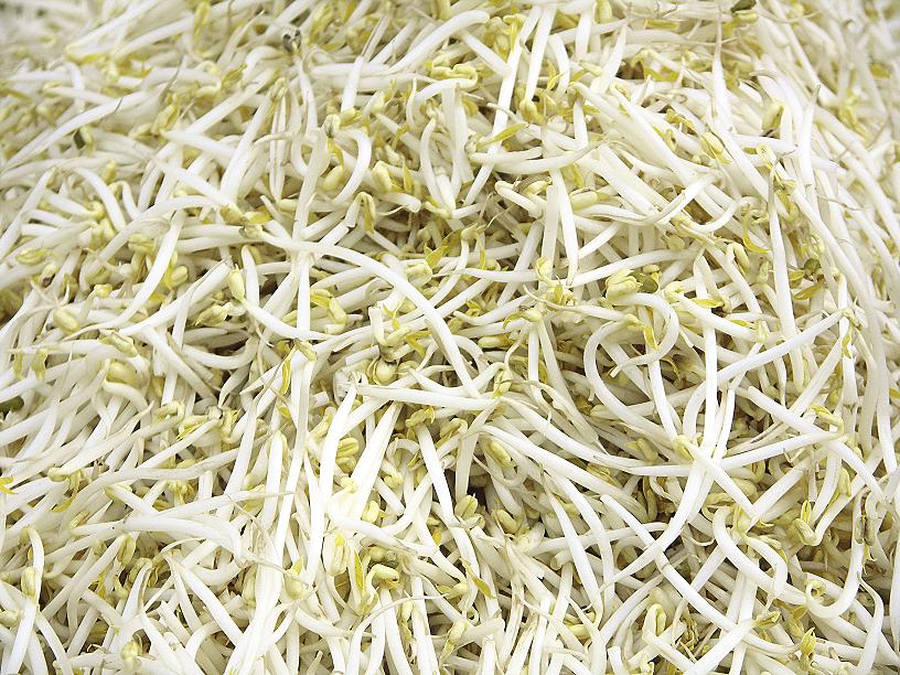 [bean+sprouts.jpg]
