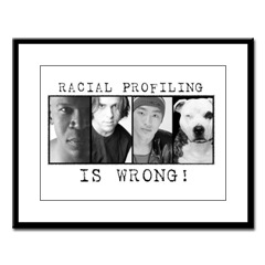 [racial+profiling.jpg]