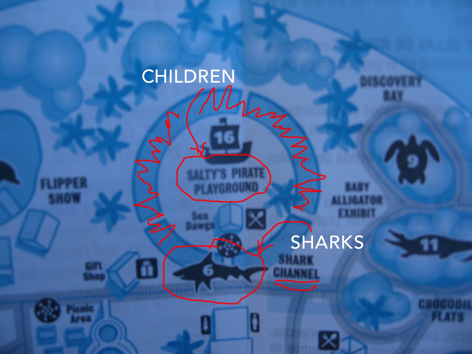 [sharks.jpg]
