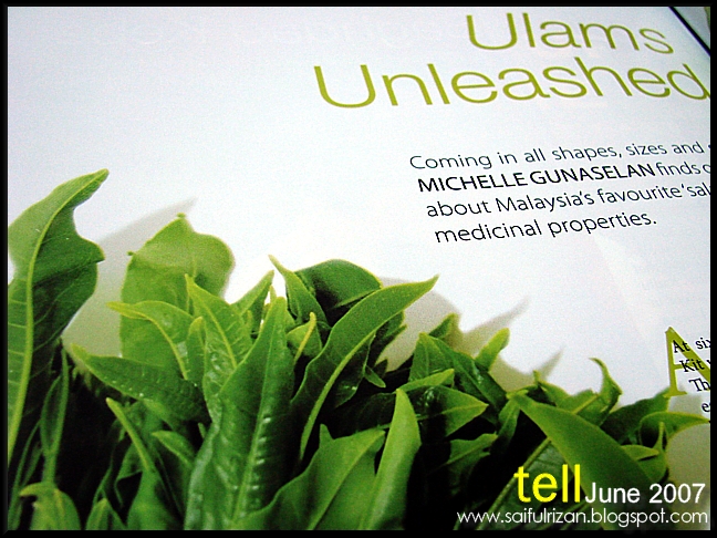 [Tell+June+2007+Ulams+Unleashed.jpg]