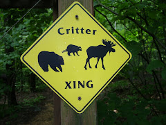 Critter Count