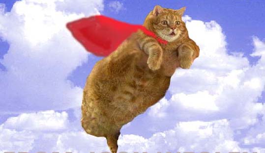 [flying+cat2.jpg]