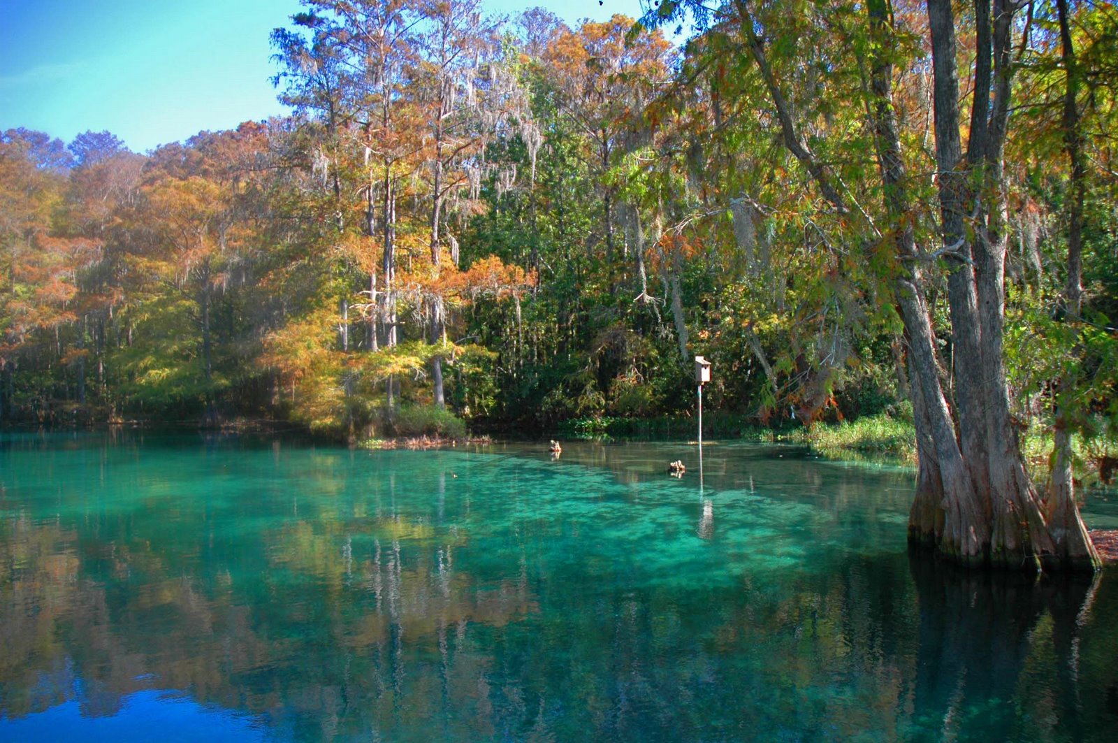 The Rainbow River in Fall
