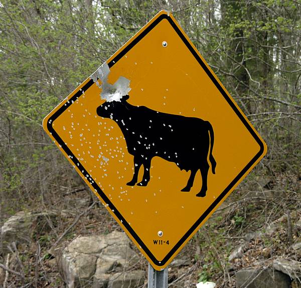 [Cow+Sign.jpg]