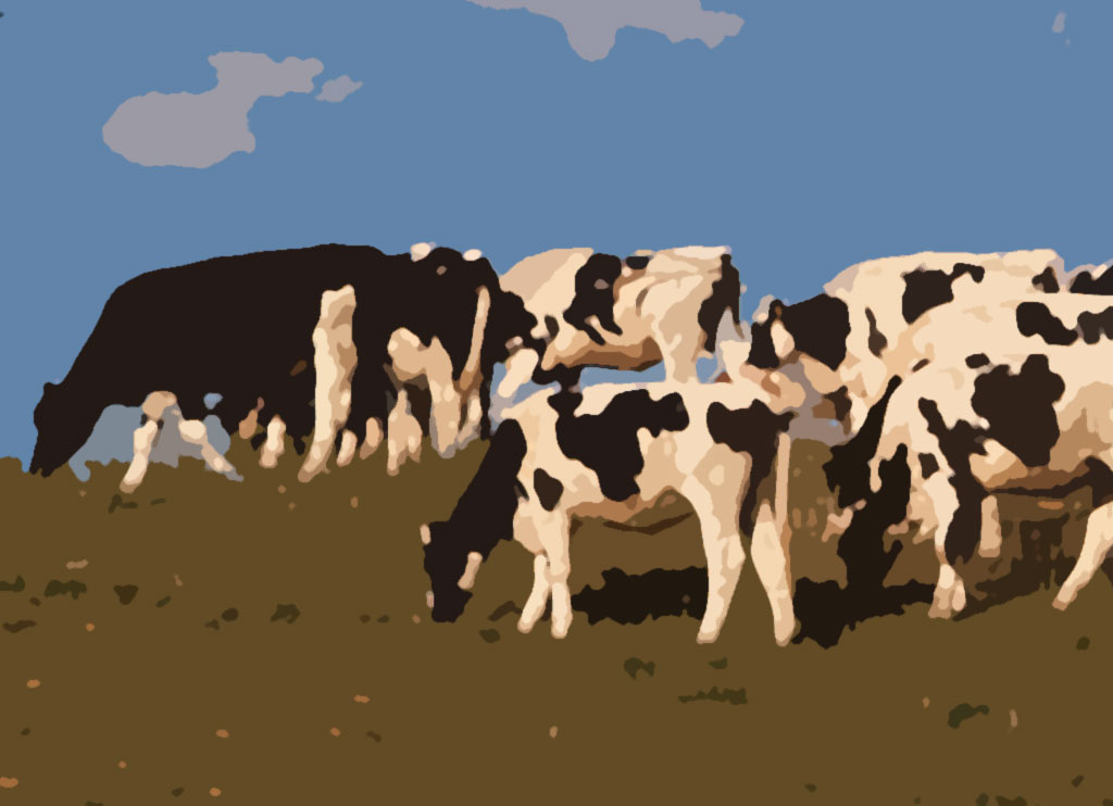 [cows-3.jpg]