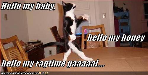 [funny-pictures-dancing-wb-cat.jpg]