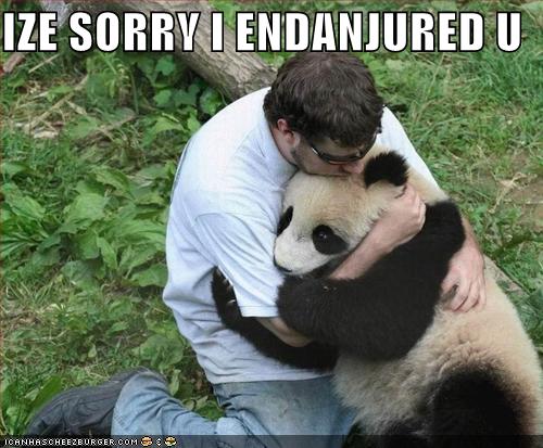 [funny-pictures-human-apologizes-to-panda.jpg]