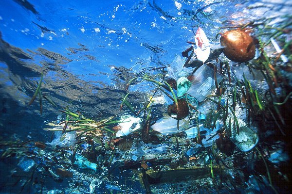 [plastic+ocean+trash.jpg]