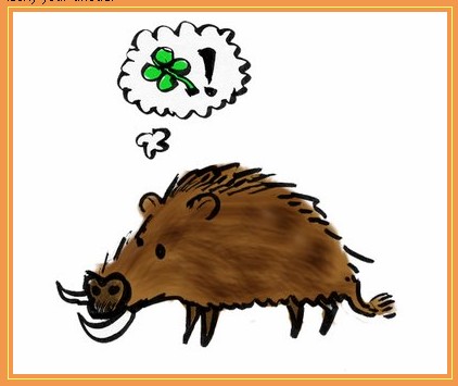 [lucky+boar.jpg]