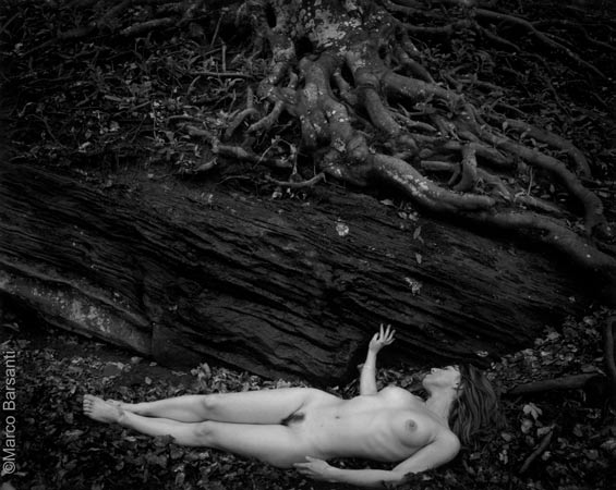 [Marco+Barsanti+-+Nude+13+-++Nude+in+Casentinesi+Forests.jpg]