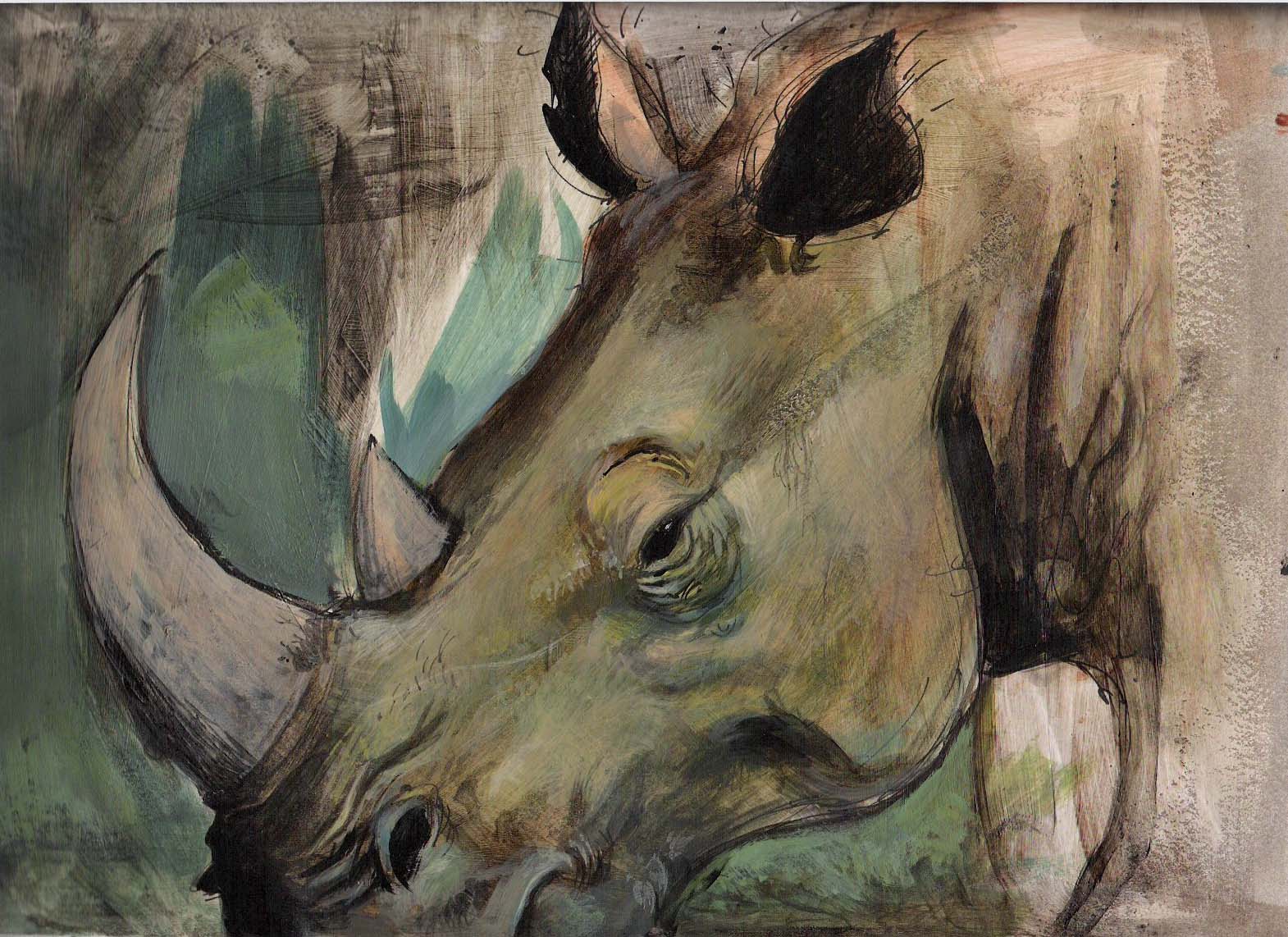 [rhino+sketch.jpg]