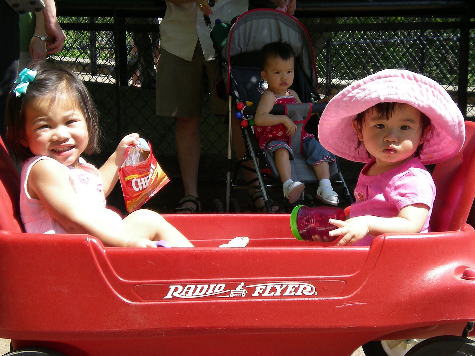 [Ruby,+Maddy+&+Libby+at+the+zoo.jpg]