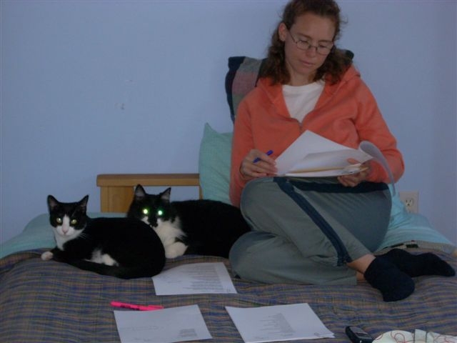 [reading+with+kitties.JPG]
