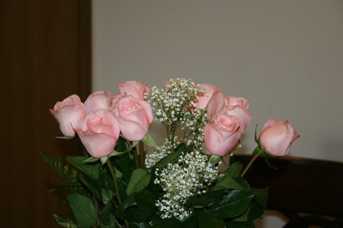 [roses-2.jpg]